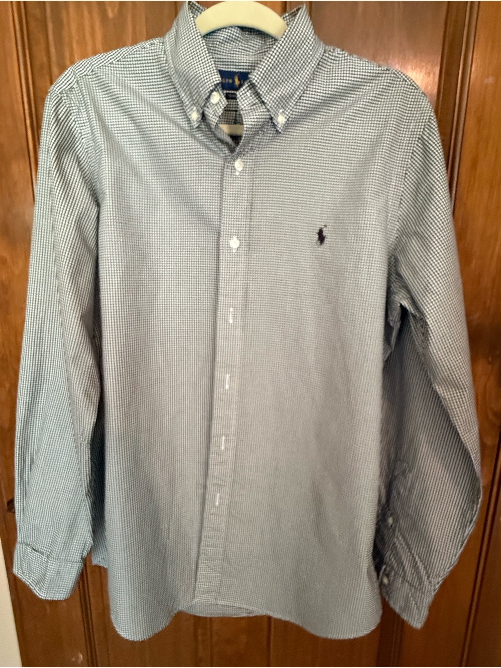 Ralph Lauren Light Blue Micro-Check Button-Down Shirt
